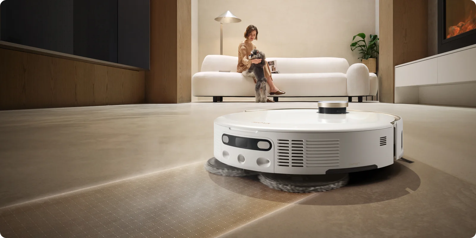 Intelligent Dirt Detection